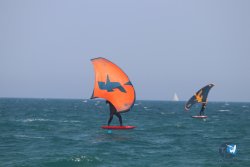 20230527-wing-marende-102.jpg