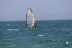 20230527-wing-marende-114.jpg