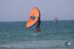 20230527-wing-marende-125.jpg