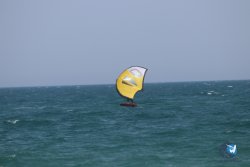 20230527-wing-marende-128.jpg