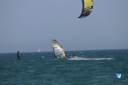 20230527-wing-marende-129.jpg