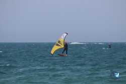 20230527-wing-marende-131.jpg