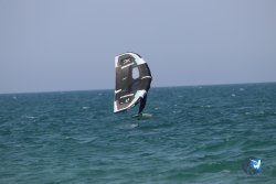 20230527-wing-marende-136.jpg