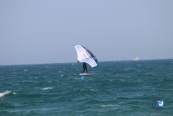 20230527-wing-marende-141.jpg