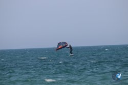 20230527-wing-marende-150.jpg