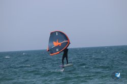 20230527-wing-marende-159.jpg