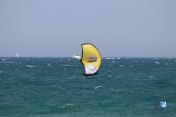 20230528-wing-marende-jour-3-003.jpg