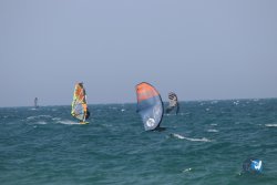 20230528-wing-marende-jour-3-005.jpg