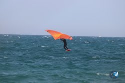 20230528-wing-marende-jour-3-059.jpg