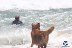 20230609-Franqui-windsurf-marin-034.jpg