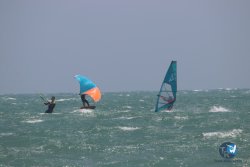 20230609-Franqui-windsurf-marin-075.jpg