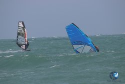 20230609-Franqui-windsurf-marin-081.jpg