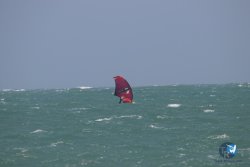 20230609-Franqui-windsurf-marin-093.jpg