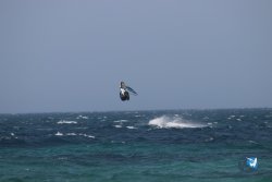 20230717-bolonia-021.jpg