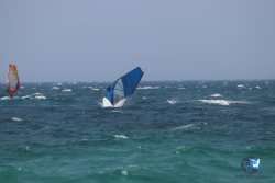20230717-bolonia-046.jpg