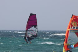 20230717-bolonia-098.jpg