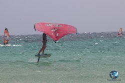 20230717-bolonia-239.jpg