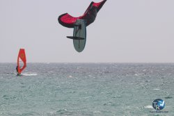 20230717-bolonia-271.jpg